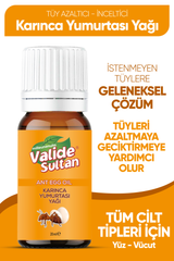 Karınca Yumurtası Yağı 20 Ml