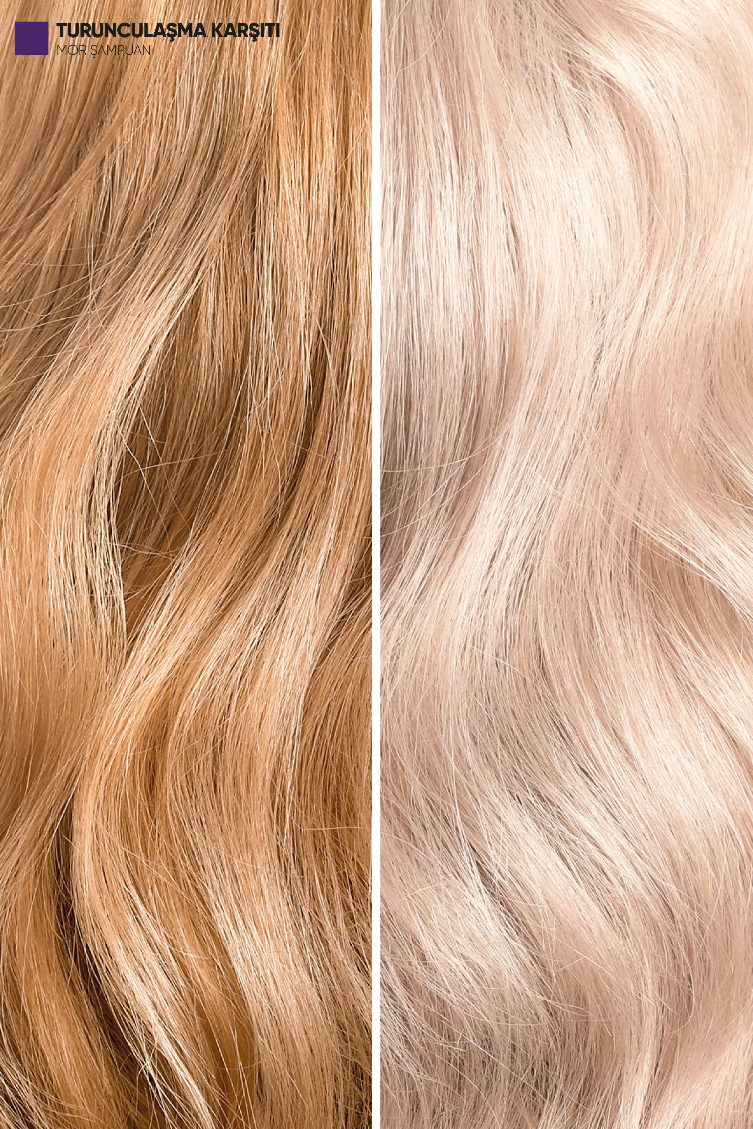 Axwell Mor(Turunculaşma Karşıtı) Şampuan 330 ml Axwell Mor(Turunculaşma Karşıtı) Şampuan 330 ml