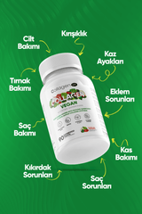 Biotin, Hyaluronıc Acıd ve Bitki Bazlı Protein Tozu ile Vegan Kolajen Desteği 90 Tablet